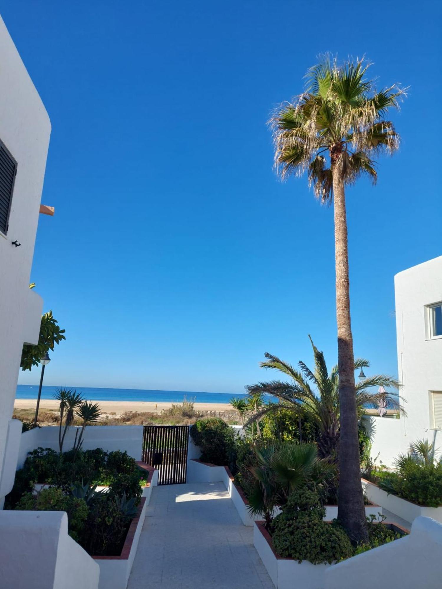 Piscina, Wifi, Patio Con Vistas Lejlighed Tarifa Eksteriør billede