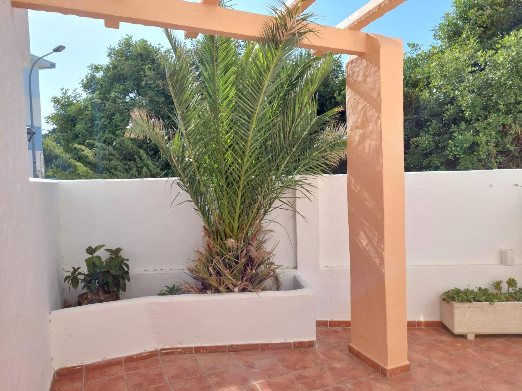Piscina, Wifi, Patio Con Vistas Lejlighed Tarifa Eksteriør billede